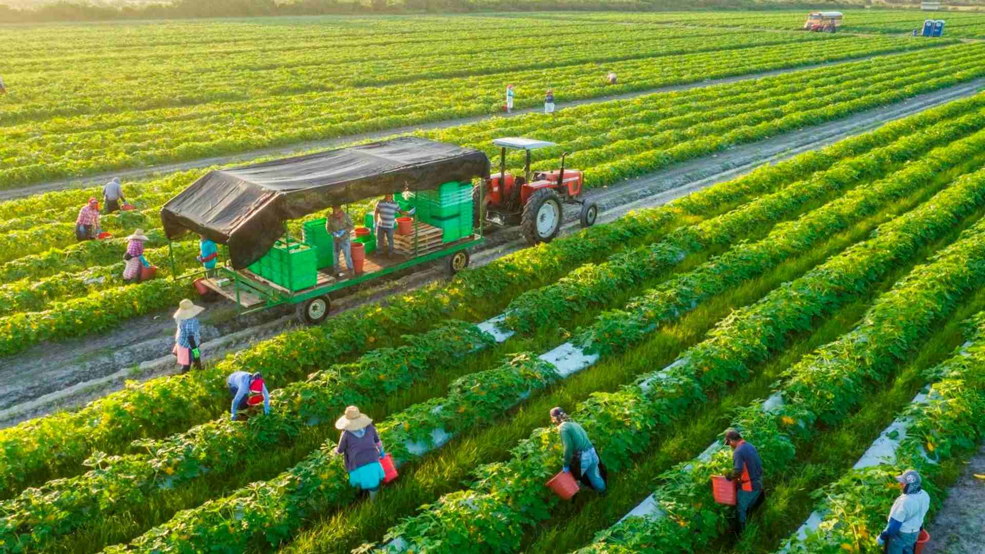 Bộ NN&PTNT thúc đẩy đầu tư logistics nâng cao giá trị nông sản 2 logistics
