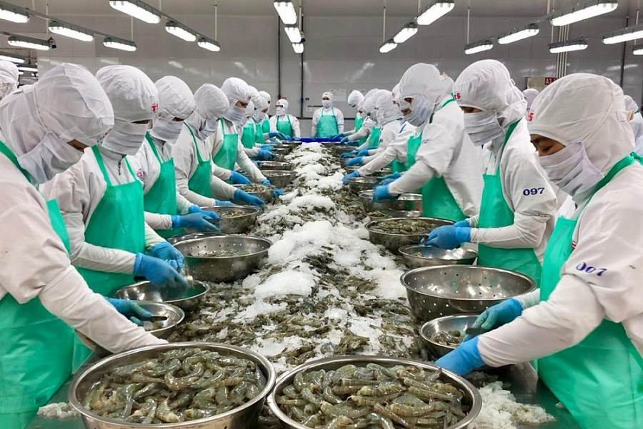 Xuất khẩu thủy sản Việt Nam kỳ vọng đạt 11 tỷ USD năm 2025 2 xuất khẩu thuỷ sản