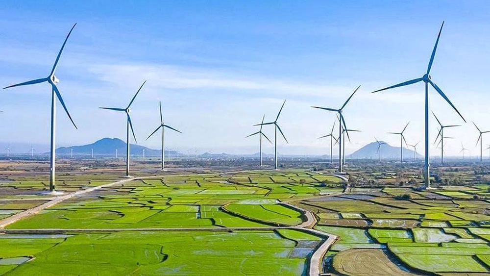 Điện sinh khối trên 10MW được mua bán trực tiếp qua lưới điện quốc gia 1 Điện sinh khối