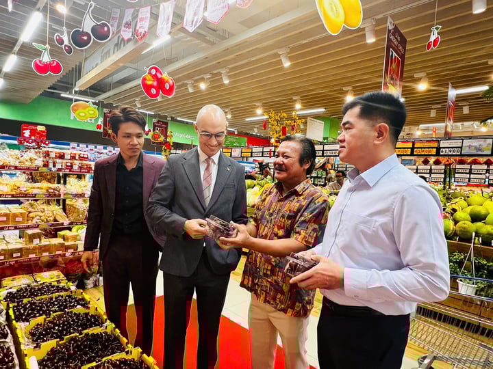 Cherry Chile tươi 100 tấn tràn ngập Co.opmart, Co.opXtra dịp Tết 2 Cherry Chile