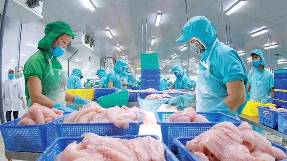 Xuất khẩu thủy sản Việt Nam kỳ vọng đạt 11 tỷ USD năm 2025 1 Với những nỗ lực không ngừng, ngành thủy sản tự tin sẽ tái lập kỷ lục xuất khẩu 11 tỷ USD như năm 2022.