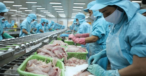 Xuất khẩu sang Mỹ năm 2025 đối mặt nhiều rủi ro với 32 vụ phòng vệ thương mại mới 2 xuất khẩu