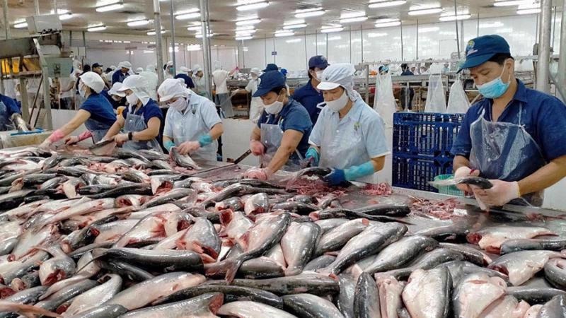 Xuất khẩu thủy sản năm 2024 đạt hơn 10 tỷ USD tăng 12% so với năm trước 3 xuất khẩu thủy sản