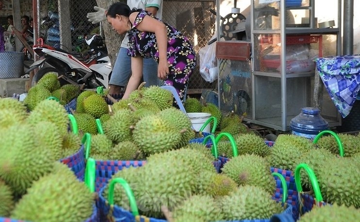 giá sầu riêng