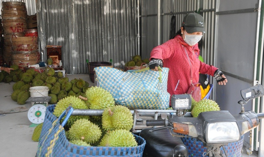 Giá sầu riêng giảm 25.000 đồng/kg do kiểm định khắt khe tại Trung Quốc 2 giá sầu riêng