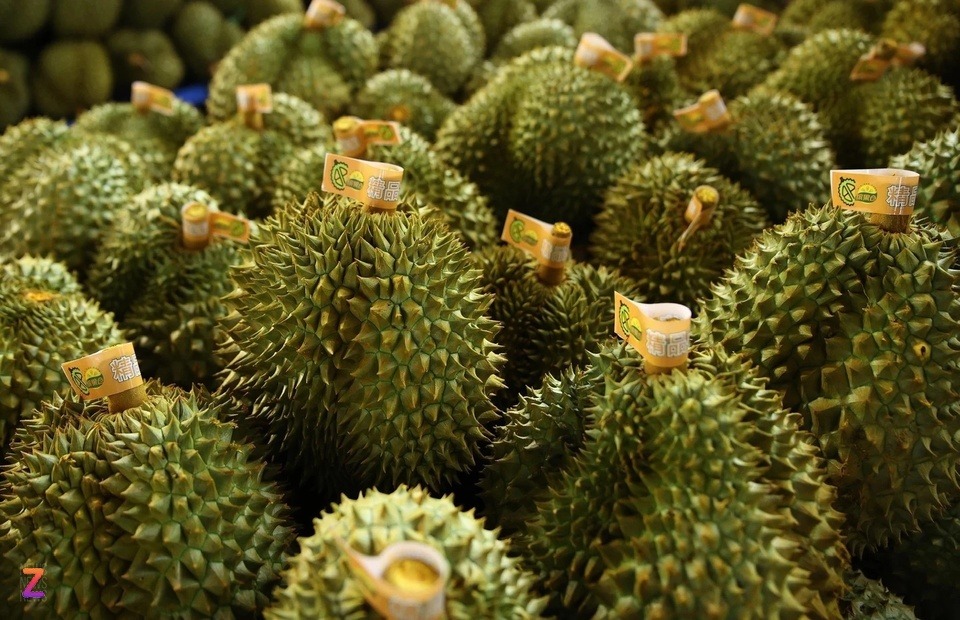Giá sầu riêng giảm 25.000 đồng/kg do kiểm định khắt khe tại Trung Quốc 3 giá sầu riêng