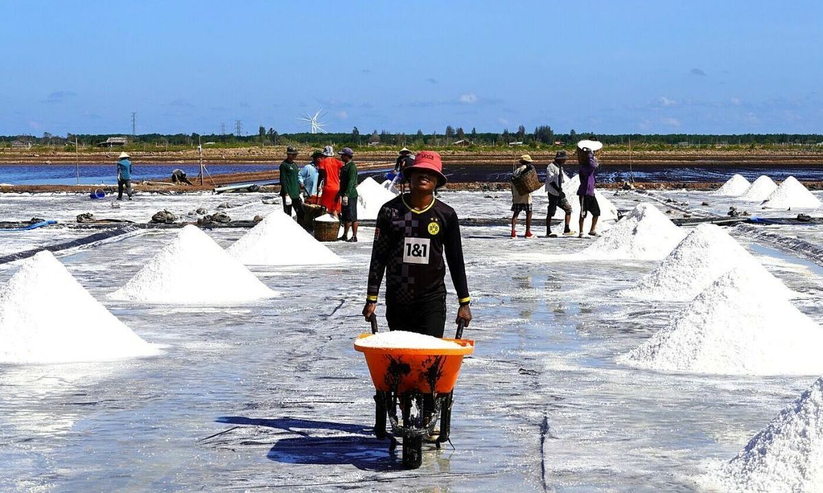 Nghề muối Bạc Liêu được tôn vinh tại Festival 2025 3 nghề muối