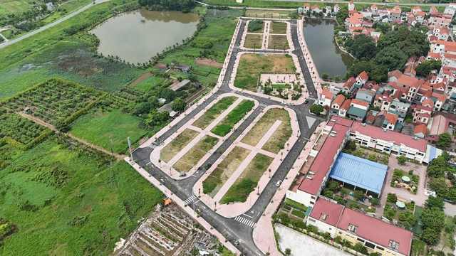 đấu giá đất