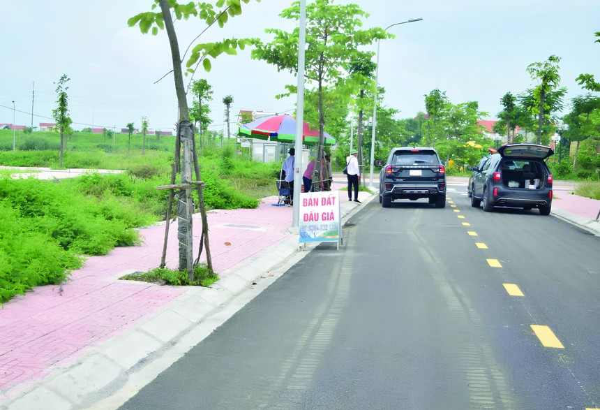 hoạt động đấu giá đất trên cả nước đã bắt đầu "nóng" trở lại sau thời gian giảm sút