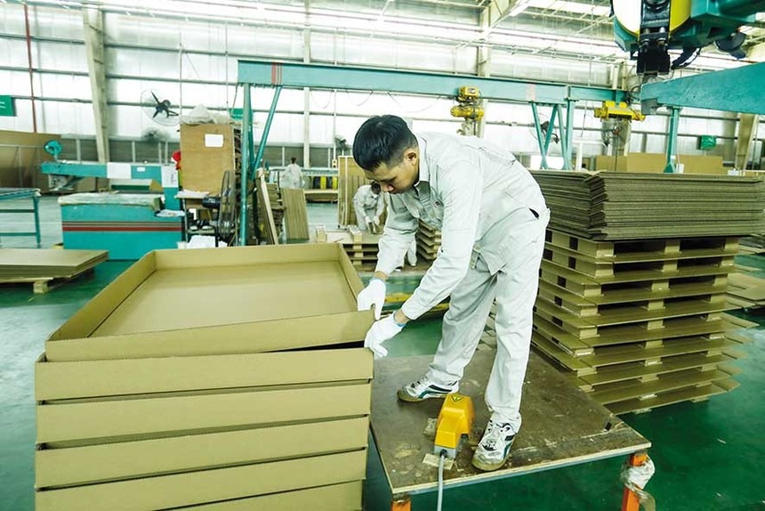 Ngành bao bì đón dư địa lớn từ sản xuất xanh 2025