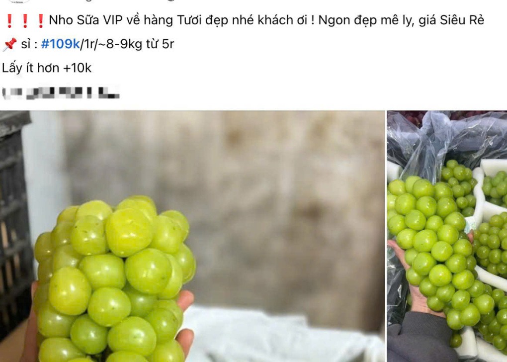 Nho sữa nhập khẩu đạt 14,2 triệu tấn, giá rẻ kỷ lục 1 nho sữa