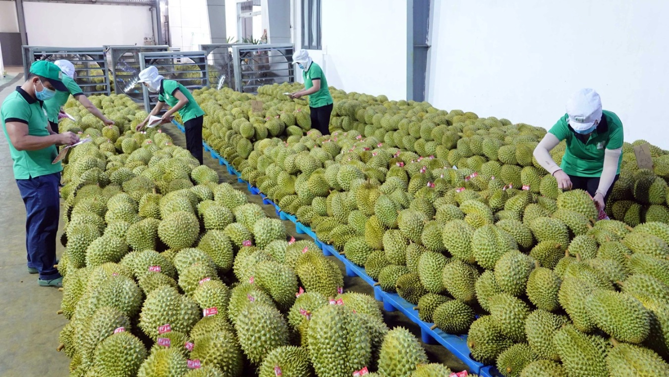 Thách thức mới cho xuất khẩu rau quả 2025 2 xuất khẩu rau