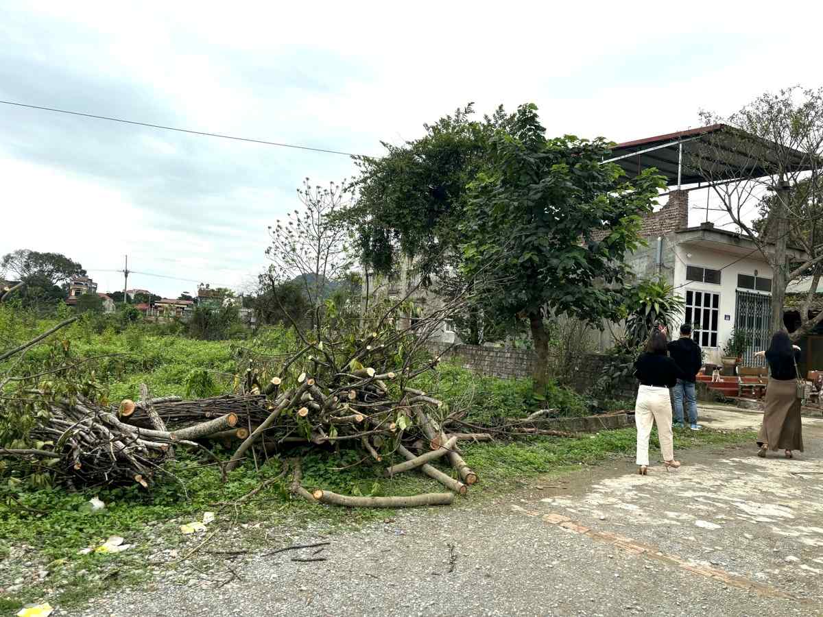 giá đất