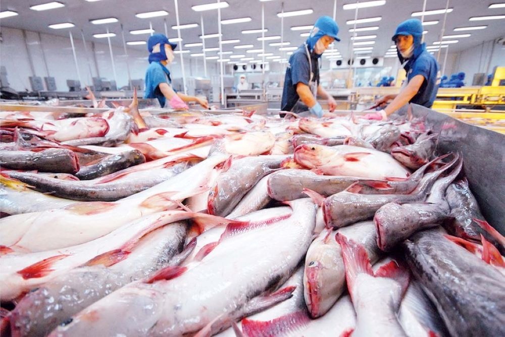 Xuất khẩu thủy sản tháng 2 đạt 655,2 triệu USD tăng 42,6% so với cùng kỳ 3 xuất khẩu