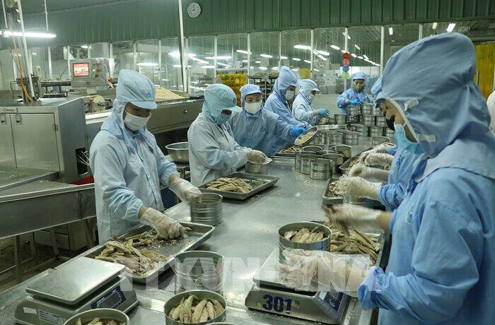 FTA – Chìa khóa vượt bão phòng vệ thương mại 2025