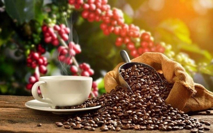 Giá nông sản 31/3 cà phê giảm nhẹ hồ tiêu tăng vọt 1 gia-ca-phe