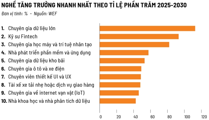 Bản đồ việc làm 2030 thay đổi, nghề nào sẽ "tỏa sáng" 2 2030-nghe-nghiep