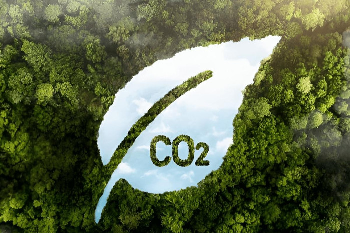 san-giao-dich-carbon