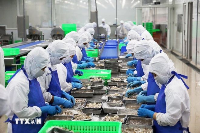 Tôm Việt Nam đón nhận cơ hội xuất khẩu mới từ các thị trường quốc tế 1 Ngành xuất khẩu tôm Việt Nam hiện đang chứng kiến sự phát triển mạnh mẽ