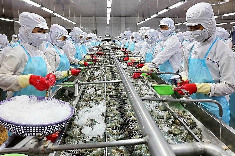 Quy định này không chỉ áp dụng đối với các doanh nghiệp sản xuất trong EU mà còn ảnh hưởng đến các quốc gia xuất khẩu thực phẩm và bao bì nhựa, trong đó có Việt Nam