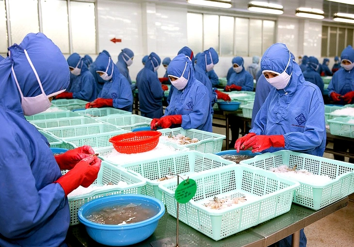 Tôm, cá tra Việt Nam bứt phá xuất khẩu năm 2025. Ảnh: Sưu tầm