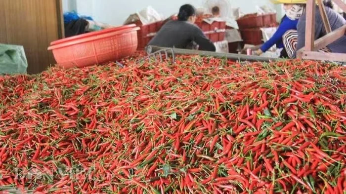 Việt Nam, Trung Quốc ký nghị định thư và thỏa thuận thúc đẩy nông sản. Ảnh: Sưu tầm