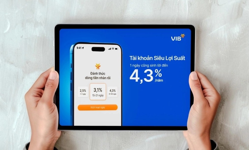 Ảnh: VIB