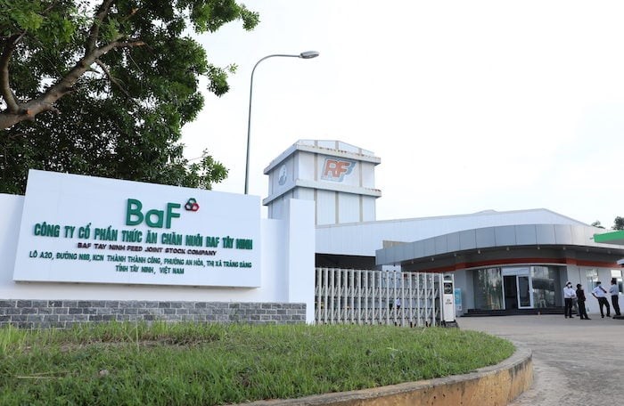BAF Việt Nam tăng trưởng nhờ giá heo cao và mô hình chuỗi 3F 1 Baf-viet-nam-chan-nuoi
