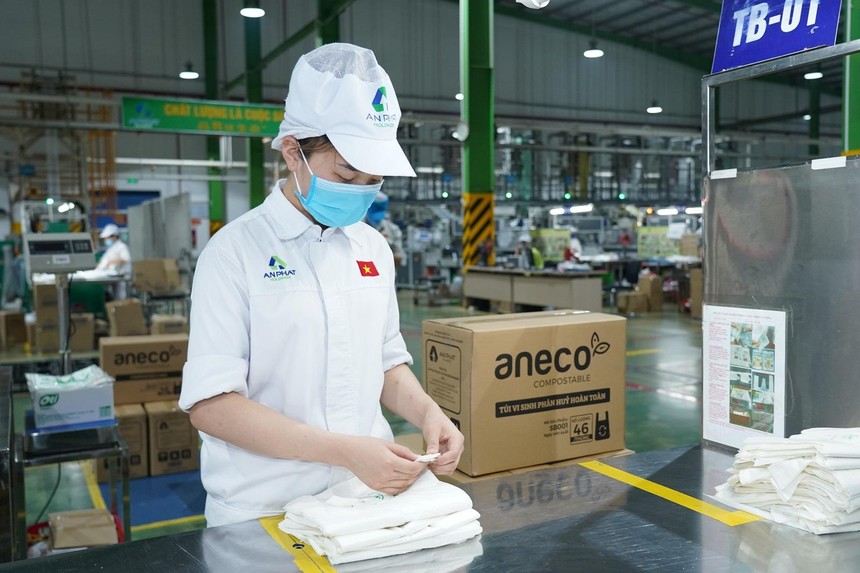 An Phát Holdings vượt kế hoạch 2024 với doanh thu 14.193 tỷ đồng 1 Tập đoàn An Phát Holdings ghi nhận lợi nhuận sau thuế 310 tỷ đồng trong năm 2024.