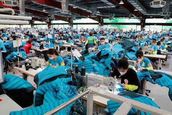 Doanh nghiệp Việt Nam tái cơ cấu, thích ứng thuế quan Mỹ 1 Doanh nghiệp xuất khẩu Việt Nam, tái cơ cấu đối phó thuế quan Mỹ