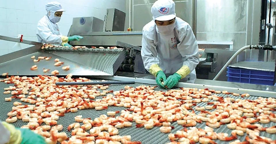 Xuất khẩu thủy sản sang Mỹ giảm 15% nhưng kỳ vọng bật tăng 2 xuất khẩu thủy sản
