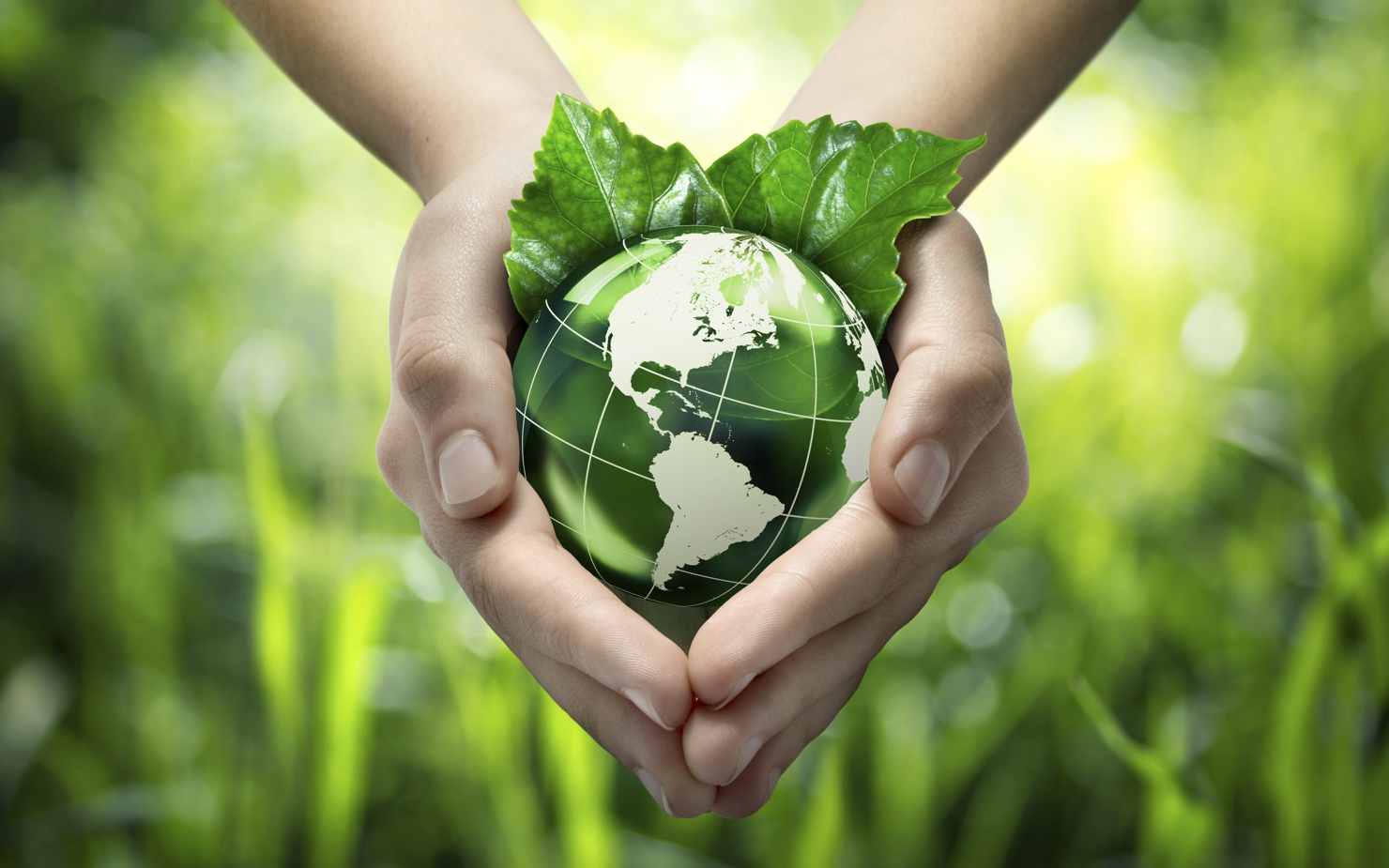 Việt Nam hướng tới Net Zero, nâng cao cơ hội đầu tư trong tương lai 1 Việt Nam đang chuyển mình với chiến lược tăng trưởng xanh, hướng tới trở thành quốc gia thu nhập cao