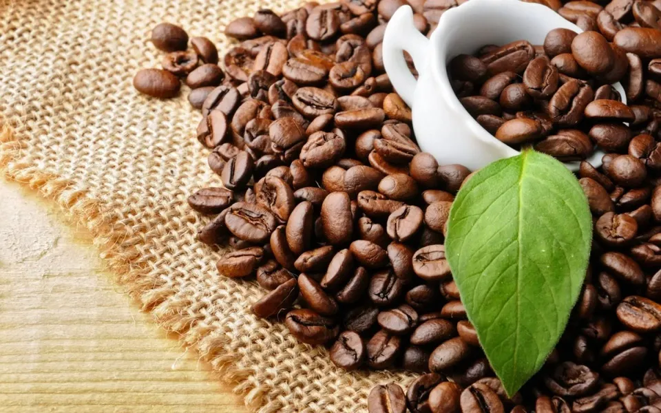 Thời điểm lý tưởng để tích trữ cà phê, hồ tiêu. Ảnh: Sưu tầm