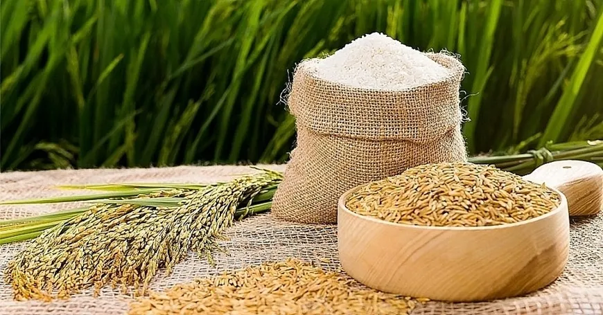 Giá cà phê, hồ tiêu giảm ngày 7/5 tạo cơ hội cho thị trường 2 Gạo ổn định, lựa chọn đa dạng cho bữa cơm gia đình. Ảnh: Sưu tầm