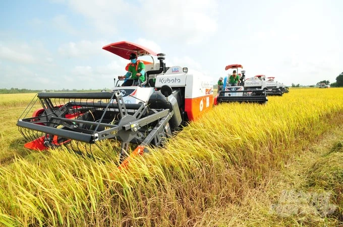 Giá nông sản 10/5: Cà phê Tây Nguyên tăng nhẹ, thịt lợn giữ đà hồi phục 2 Lúa gạo ĐBSCL biến động nhẹ. Ảnh: Sưu tầm