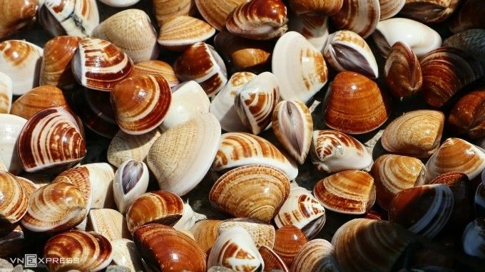 Xuất khẩu nhuyễn thể bùng nổ, Trung Quốc thành thị trường chủ lực 2 Sự bùng nổ xuất khẩu nhuyễn thể sang Trung Quốc đánh dấu bước chuyển chiến lược của ngành thủy sản Việt Nam. Ảnh: Báo Điện tử Chính phủ