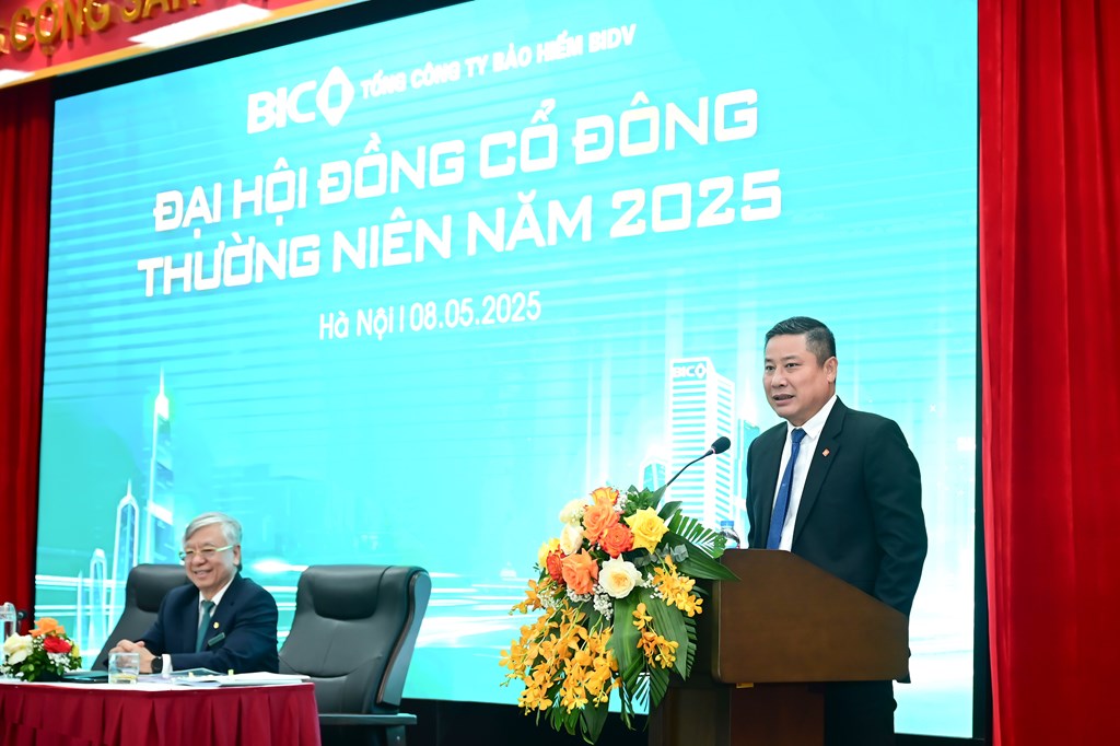 ong tran hoai an uv hdqt tong giam doc bic bao cao ket qua kinh doanh cua bic nam 2024 20250508223606