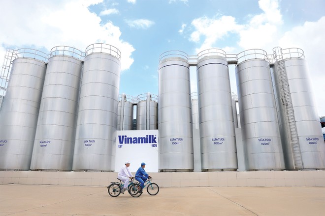 Vinamilk giảm 28% lợi nhuận quý 1/2025 nhưng vẫn hấp dẫn 1 Vinamilk-doanh-thu