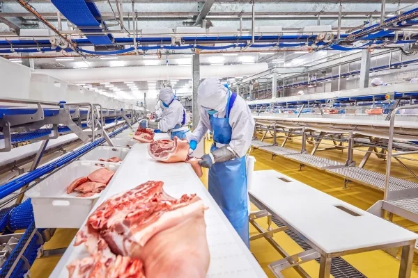 Ngành chăn nuôi: Masan dẫn đầu chuỗi khép kín 2 ngành chăn nuôi