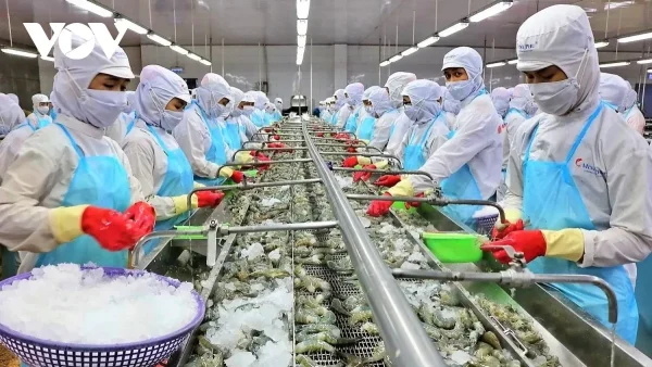 80% Doanh nghiệp Việt Nam tích cực ứng phó tác động từ thuế quan Hoa Kỳ 2 thuế quan