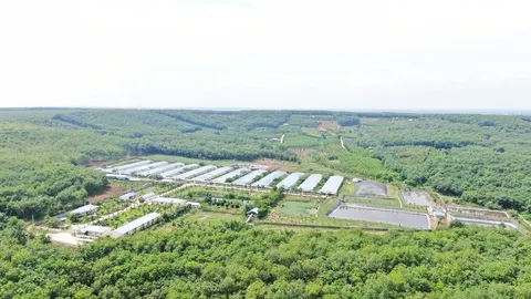 Xuất khẩu tăng trưởng từ chiến lược ESG bền vững 2 Xuất khẩu