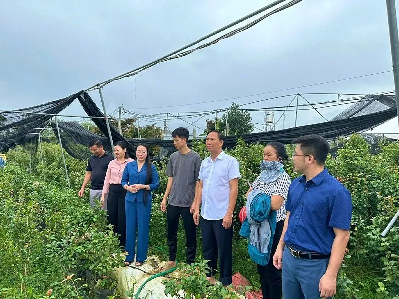 Chương trình mục tiêu quốc gia