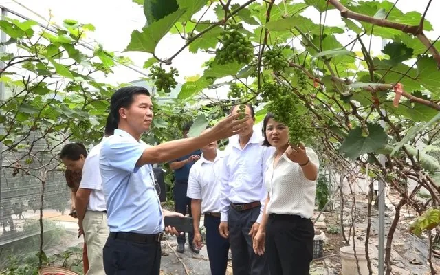 Hà Nội hoàn thành Chương trình mục tiêu quốc gia nông thôn mới 3 Chương trình mục tiêu quốc gia