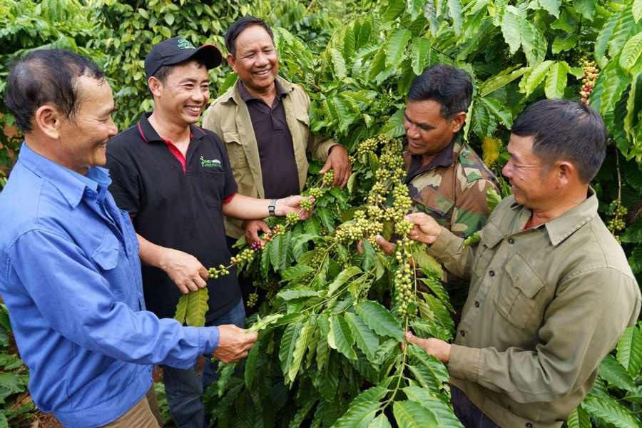 Nestlé kỷ niệm 30 năm phát triển cà phê bền vững tại Việt Nam 2 NESCAFÉ Plan là chương trình hợp tác đa bên trên cơ sở mô hình Hợp tác công tư toàn cầu của Nestlé, nhằm kết nối chính quyền, doanh nghiệp và nông dân trong chuỗi giá trị cà phê