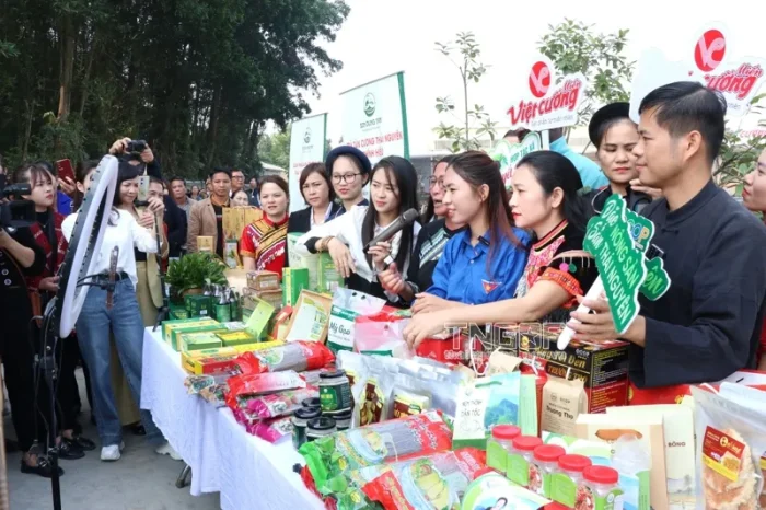 Hộ kinh doanh loay hoay với hóa đơn điện tử 2025 3 hộ kinh doanh