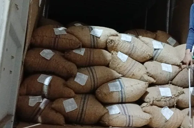 nhập khẩu điều thô
