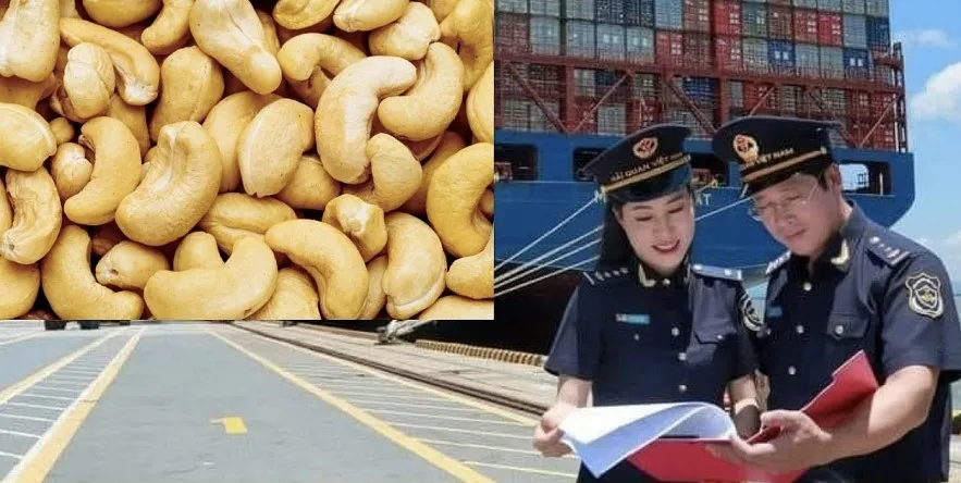 nhập khẩu điều thô