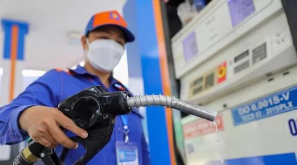 Xăng sinh học E10 thúc đẩy mục tiêu Net Zero năm 2050 2 xăng sinh học e10