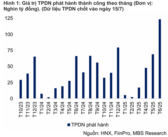 gia-tri-trai-phieu
