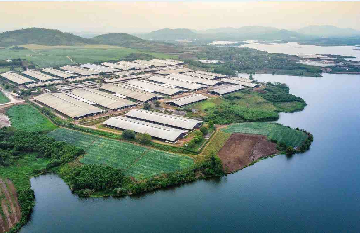 Mô hình tuần hoàn tích hợp giúp TH nâng cao giá trị bền vững